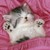 :iconchristincat: