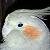:iconchristine-bolcsfoldy: