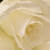 :iconchristine-daae: