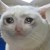ChristineMerrifield :iconchristinemerrifield: