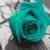 :iconchristinenicole: