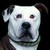 :iconchristyrenee: