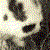 :iconchriswristspanic: