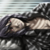 :iconchroma2501: