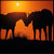 :iconchrome5: