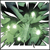 :iconchronick: