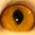 :iconchroniclesofadanka: