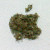 :iconchronik-art: