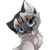 :iconchrono-xxx: