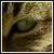 :iconchrono5t: