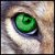 :iconchronoblood: