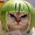 :iconchronodin: