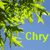 :iconchryseis: