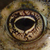 :iconchrysomela: