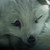 :iconchrystal-glass:
