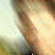 :iconChuckismyhero: