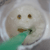 :iconchuffstock: