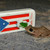 :iconchuitoelsalsero: