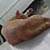 :iconchungnic: