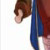 :iconchunli7plz:
