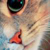 :iconchuphotography: