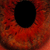 :iconchurch-of-havoc: