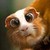 :iconchuteart:
