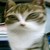 ChuXng :iconchuxng: