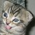 :iconciara77: