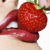 :iconciaradeveler:
