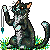 :iconcibtus-rwb: