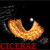 :iconcicerae: