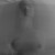 :iconcici-lisa: