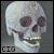 :iconcigdesigns: