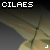 :iconcilaes: