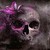 :iconcimhax-iii: