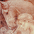 :iconcincotta25: