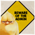 :iconcinderellarbd: