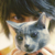 :iconcinderellarobin: