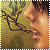 :iconcinderscar: