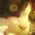 :iconcinderwolfxx: