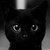 :iconcindycatkittykitty: