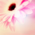 :iconcinematicdream: