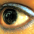 :iconcinnamaldehyde: