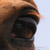 :iconcinnamon-ish: