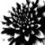 :iconcinnamon-sweet: