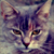 :iconcinnamon-tea-cup: