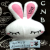 :iconcinnarabbit913: