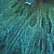 :iconcirculusvitiosus: