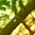 :iconCiriWitcher:
